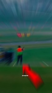 130K views · 826 reactions | Bird Strike Prevention | FactSheetor | Facebook