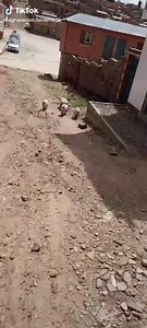 8.3K views · 291 reactions | CUÁNDO AGRUPACION LUCIERNAGA YA NO QUIERE LA SEGUNDA TANDA JAJAJAJJA藍藍‍♀️ | Agrupacion Luciernaga | Facebook