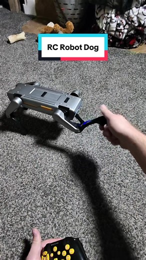 Meet Our Amazing Robot Dog Who Does Tricks!