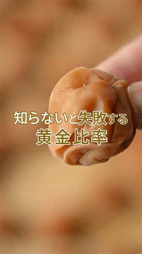 「梅しごと」はじめてさんにオススメ！