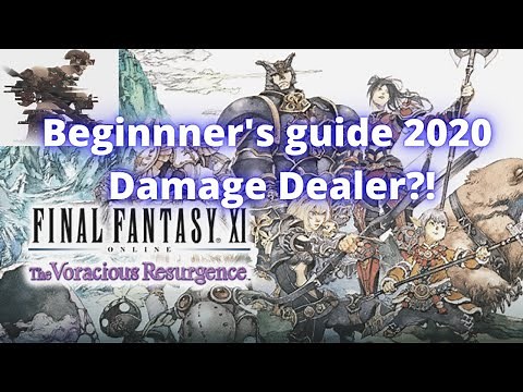 Final Fantasy XI Beginner's Guide 2020 Damage Dealer?!