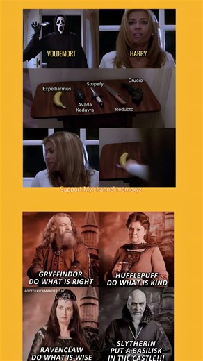 Every Hogwarts House Explained 😂 | Harry Potter Meme