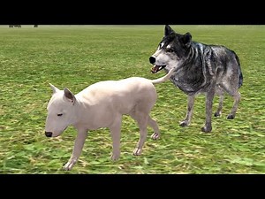 Bull Terrier - Ultimate Dog Simulator (By Gluten Free Games) [4K 60FPS Max Settings]