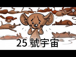 25 號宇宙老鼠實驗