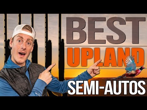 Best Upland Semi-Auto Shotguns of 2025