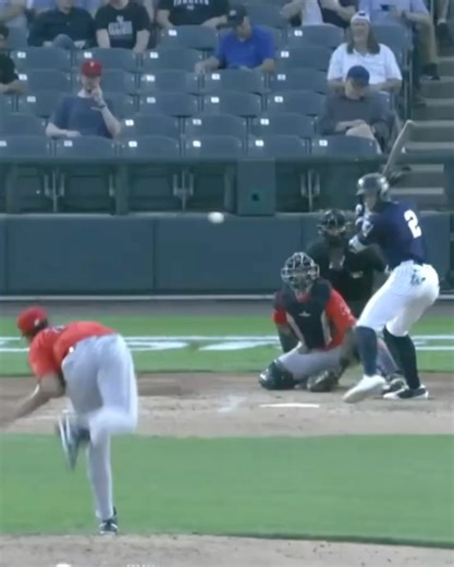 Somerset Patriots on Reels