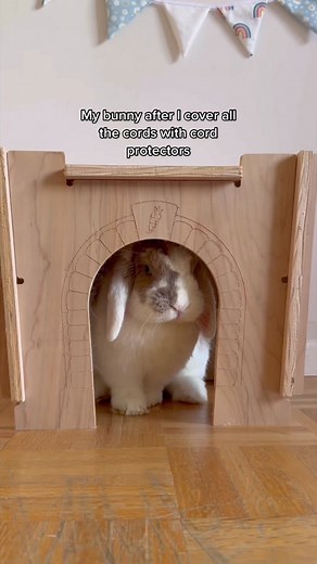 Protecting Your Pet Bunny: Bunny-Proofing Cords with Cord Protectors