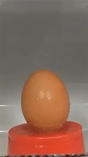 𝙨𝙪𝙡𝙚𝙮𝙢𝙖𝙣𝙧𝙚𝙨𝙢𝙞𝙭𝙭 on Instagram: "🥚⚠️"