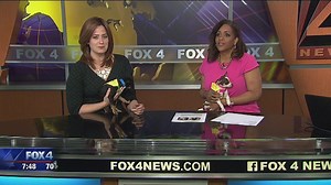 Peter and Darling need forever homes!