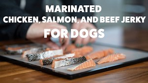 Homemade Chicken, Beef, and Salmon Dog Jerky Treats Couldn’t Be Easier to Make