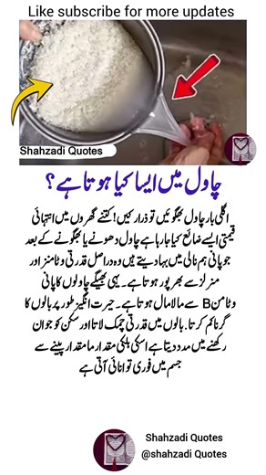 4 Life Lessons in Quotes That Will Motivate You Every Single Day 💫