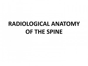 Comprehensive Radiological Anatomy of the Spine: Cervical, Thoracic, and Lumbar Regions - SlideServe