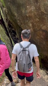 3.6K views · 56 reactions | One way track to the falls♥️,Springbrook,QLD | Touring Places | Facebook