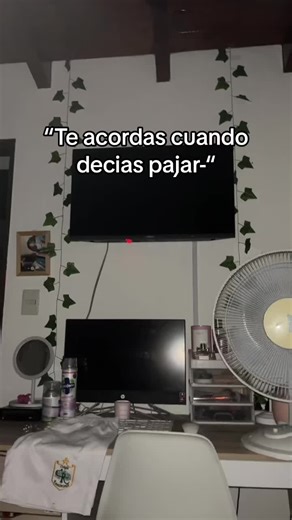 Los reales entienden #robleis #pajaro #2018 #fyp #parati