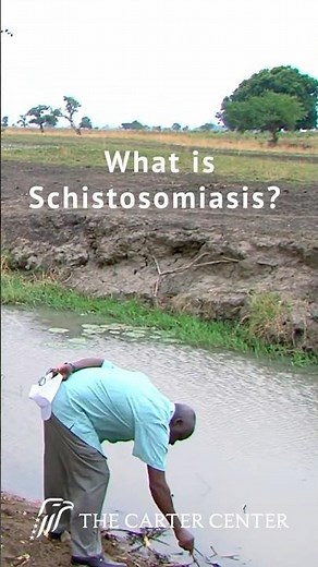 How The Carter Center Fights Schistosomiasis