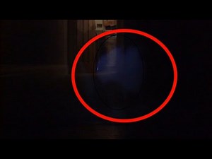 EXTRAORDINARY Ghost Cat Caught On Camera