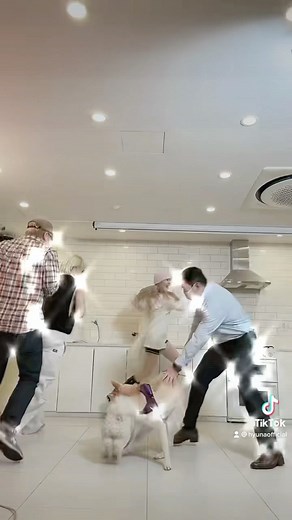 𝗣 𝗡𝗔𝗧𝗜𝗢𝗡 on Instagram: "[HyunA&DAWN] 달링~ 달리기🏃‍♀️🏃🐶🐕🐩🏓 여러분의 PING PONG 댄스를 보여주세요🧚‍♀️ #PingPongChallenge Play That Ping Pong 👩‍❤️‍👨 #현아던 #HyunAandDAWN #현아 #던 #HyunA #DAWN #PINGPONG #PNATION #피네이션"