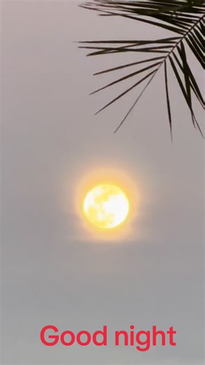 Vicha Cali (@vicha.cali)’s videos with Echo of My Heart - ꧁❤Miss CharFutur🇺🇸❤꧂