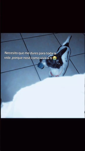 te amoo 😭💗💗 @chuchita la vakita🐄 #paratiiiiiiiiiiiiiiiiiiiiiiiiiiiiiii #pyf #paratii #viralllllll