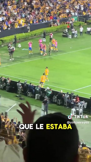 Ayudenme dándole like 🫶🏾Ndms por que mi niño interior quería ser narrador ❤️‍🩹#fyp #estadiouniversitario #tigresuanl #libresylokos #tiktokviral #paratiiiiiiiiiiiiiiiiiiiiiiiiiiiiiii