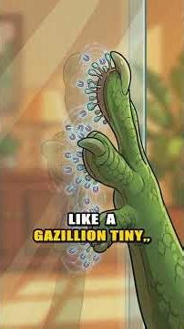 What makes a gecko's grip so strong?