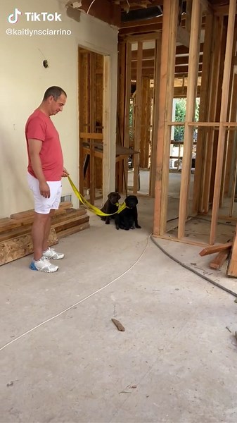 Bruce & Briggs Construction 👷‍♀️💛 #bruceandbriggs