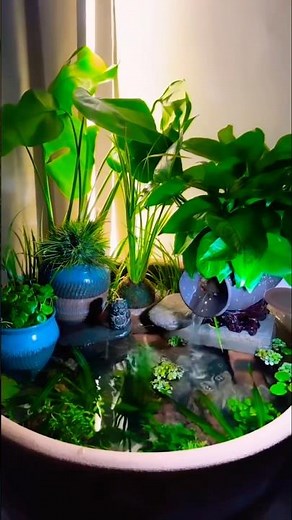 Fish pond idea 🥰 #fishpondgarden #aquarium #aquariumfish #fishtankideas