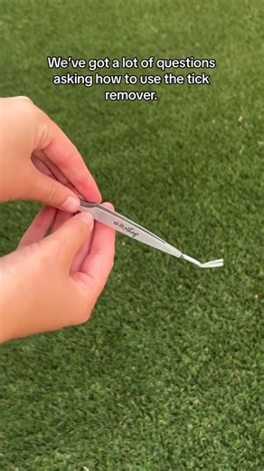 Bug Bite Thing on Instagram: "Wondering how to properly use our Tick Remover Tool? 🤔 Watch this video to see how to safely and easily remove a tick.🕷️ 1️⃣ Identify the tick (check yourself and your pets!) 2️⃣ Grasp the tick with the remover as close to the skin as possible 3️⃣ Using even pressure, smoothly remove the tick from the skin That’s it! Our Tick Remover Tool is designed to safely and effectively remove ticks from people and pets—because prompt, proper removal is an important step in
