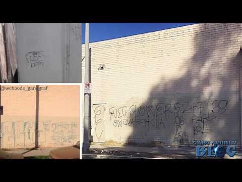 69 East Coast Crips Gang History (Los Angeles)