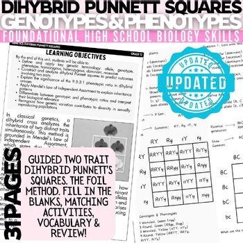 grade 12 Genetics Dihybrid Punnett Squares, heredity, worksheets, lesson