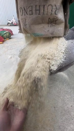 A corn crusher machine, also referred to as a hammer mill or maize grinder, is utilized in agriculture for grain processing purposes. #technology #pellet #feed #biomass #machine | New Tecnology