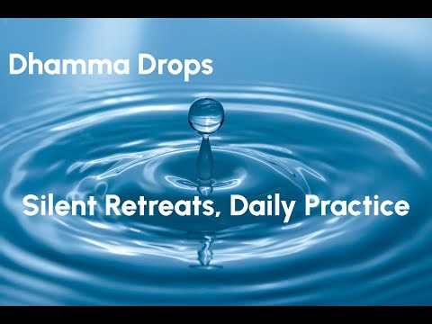 Silent Retreats and Daily Practice: What the Buddha Really Taught on Meditation and Monastic Life