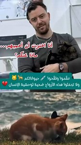 # je l’aime je le vaccine | Vétérinaire setif fartas