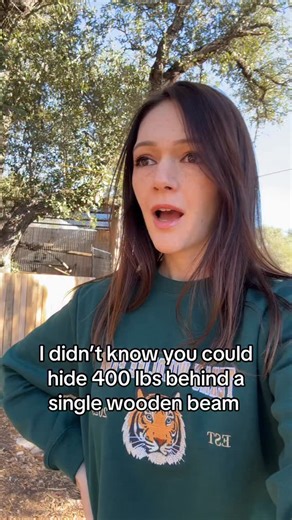 Exotic Education & Encounters on Instagram: "She is stealth"