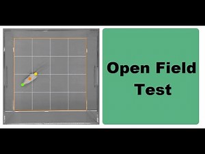Open Field Apparatus Experiment | Locomotor Activity | Anti-Anxiety Study