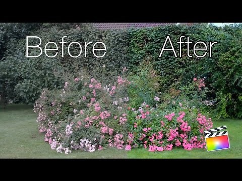 Final Cut Pro X - How to PROPERLY Color Correct