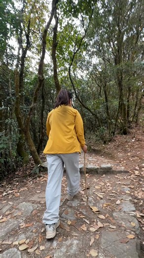 Explore Shivapuri Hiking Trails