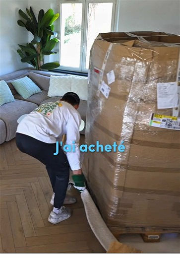 J’ai acheté des DIZAINES de PALETTES de COLIS 📦 et avec Emergent j’ai créé mon app pour tout gérer #emergent #emergentai