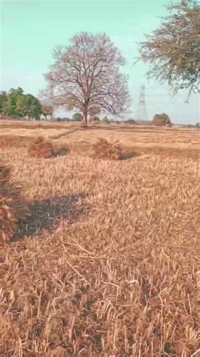waah re kisan etna himmat wala jo desh bhar ka pet bharta hai ,