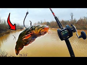 This Is Why You Bring A Measuring Tape! (I Found the Monster!)