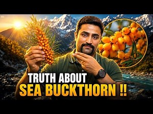 Amazing Benefits of Sea Buckthorn - The Ancient Super Fruit !!