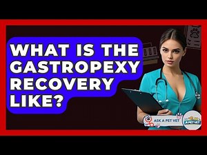 What Is The Gastropexy Recovery Like? - Ask A Pet Vet