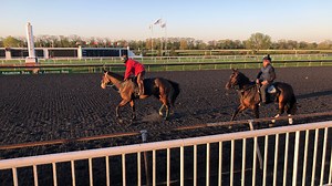 Arlington Race Track Kicks Off Final Horse Racing Season Friday