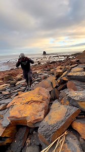 Fossils are nature’s artwork 🎨 The coiled shells of ammonites are as stunning today as they were when marine reptiles swam above them 🦑🐊 For ammonite rocks to crack open, please visit our official online store yorkshirefossils.NET (link in bio) or message directly on Instagram @yorkshire.fossils 🦕 For more videos, check our YouTube / TikTok! 🏝 Thanks for supporting our page! 🐊 #natural #nature #fossil #fossils #ancient #animals #art #fblifestyle #ammonite #ammonites #dinosaur #scientist #m