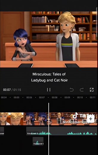 Funny Miraculous Ladybug Meme Impressions
