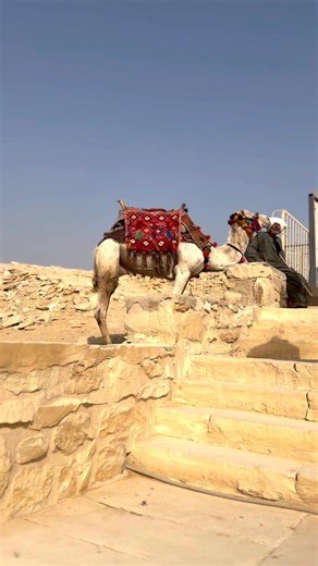 4.3K views · 58 reactions | Saqqara Egypt. January 2025 | The Queen Code | Facebook