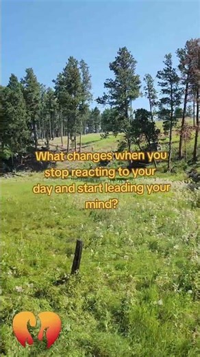 How to Improve Focus After 50 Without Blaming Yourself | Day 20