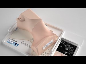 INTERSCALENE / SUPRACLAVICULAR NERVE BLOCK ULTRASOUND SIMULATOR