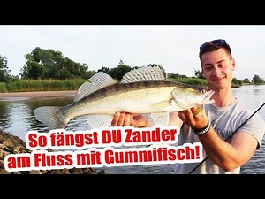 ZANDERANGELN am FLUSS | So fängst Du mit dem GUMMIFISCH + Köder Challenge!