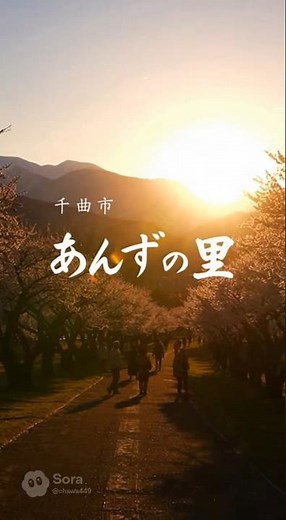 千曲市あんずの里